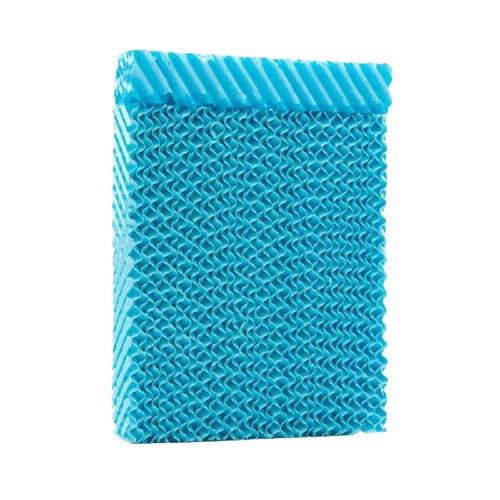 Set van 2 vervangfilters voor VC